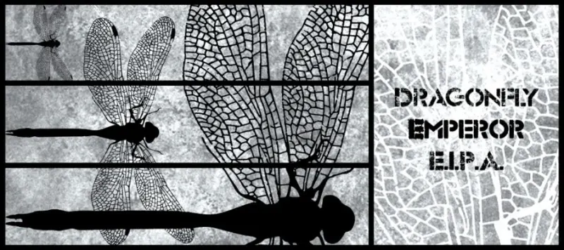 Dragonfly Emperor E.I.P.A.