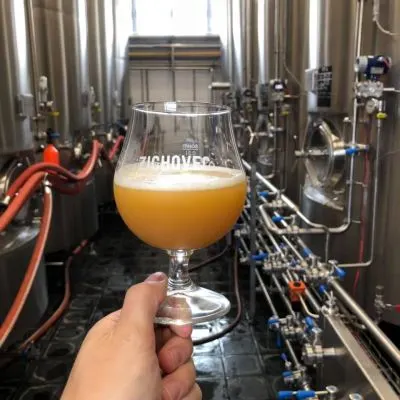 Zichovec NEIPA Citra 17