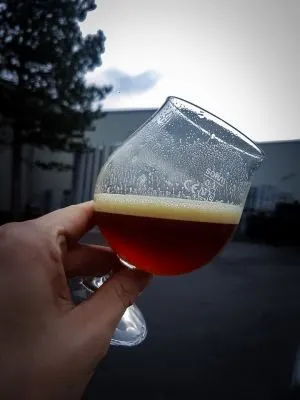 Falkon American Strong Ale (2018)