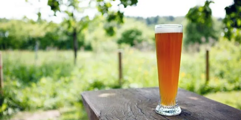 Beer Factory Pšeničný speciál
