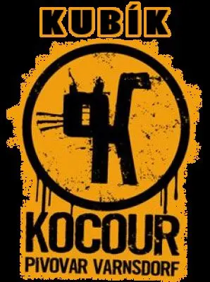 Kocour Kubík