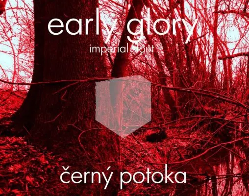 Černý potoka Early Glory