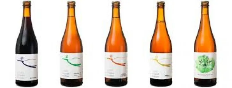 Pivečka Witbier