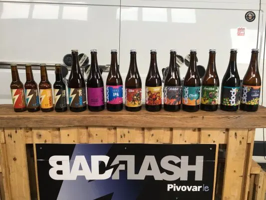 Bad Flash BlackCurrant & Pink Pepper Sour Ale