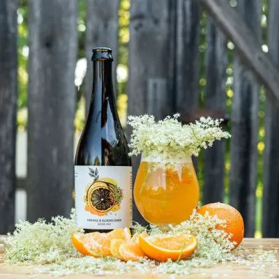 Pivečka Orange & Elderflower Sour Ale