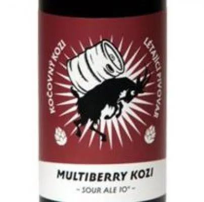 Kozi Multiberry Sour Ale