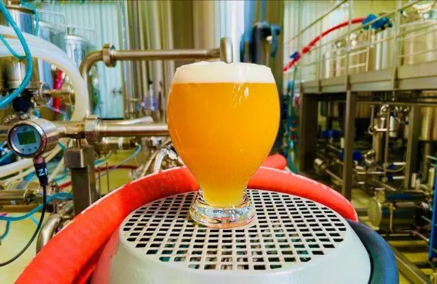 Sibeeria Blood Orange Gose