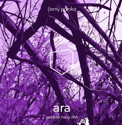 Černý potoka Ara