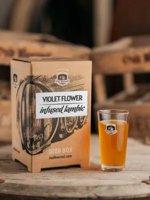 Oud Beersel Violet Flower