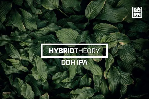 Barn Hybrid Theory