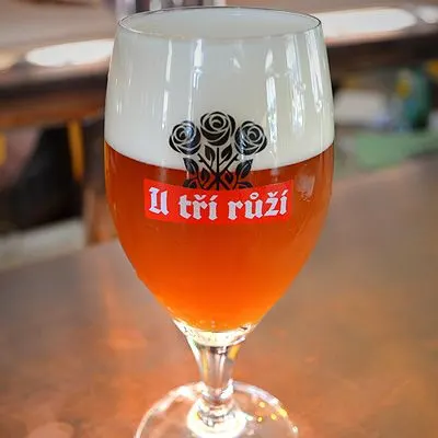 U 3 růží Irish Ale